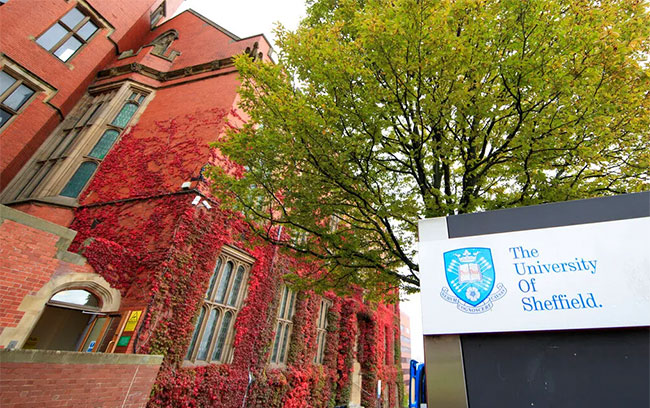 Sheffield2.jpg