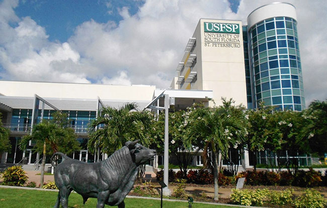 美国留学院校丨南佛罗里达大学介绍 - 一森留学