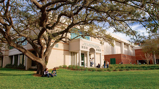 美国留学院校丨南佛罗里达大学介绍 - 一森留学