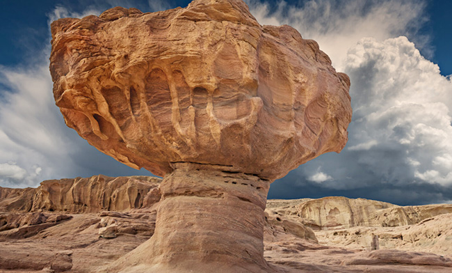 shutterstock_553816342_1-1520x855.jpg