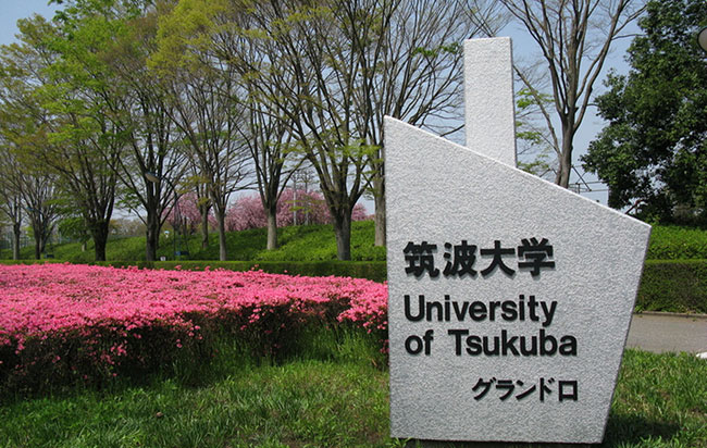 tsu1.jpg