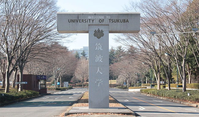 tsu3.jpg