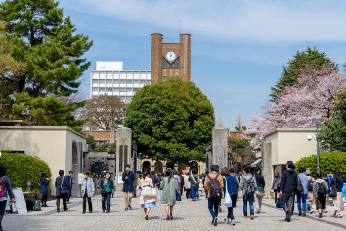 Japanese-University-Lead.jpg